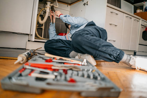 Best Same-Day Plumbing Service  in Lake City, IA