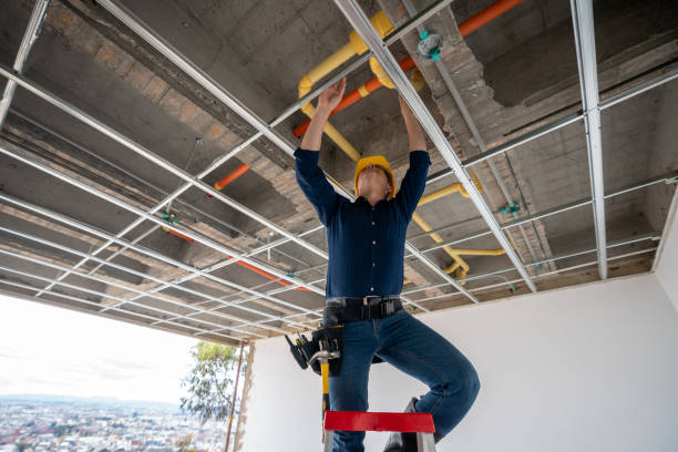 Best Residential Plumbing Services  in Lake City, IA